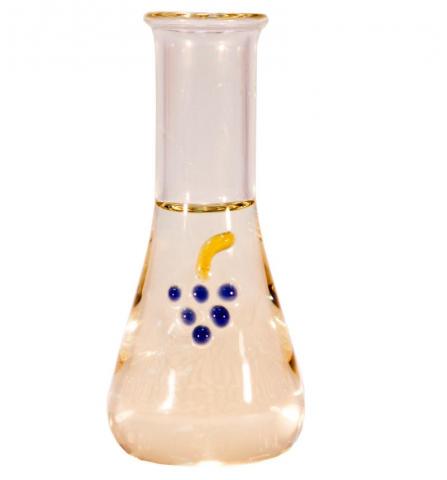 Toi strugure 100 ml