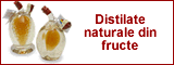 Tuica de prune